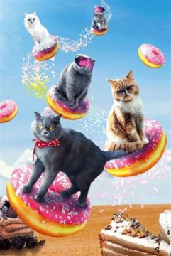 Random Galaxy - Cats Riding Donuts