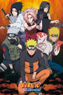 Naruto - Shippuden Group