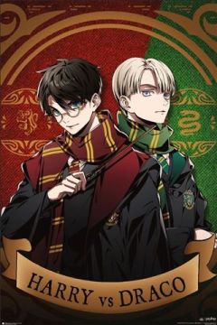 Harry Potter - Harry V's Draco